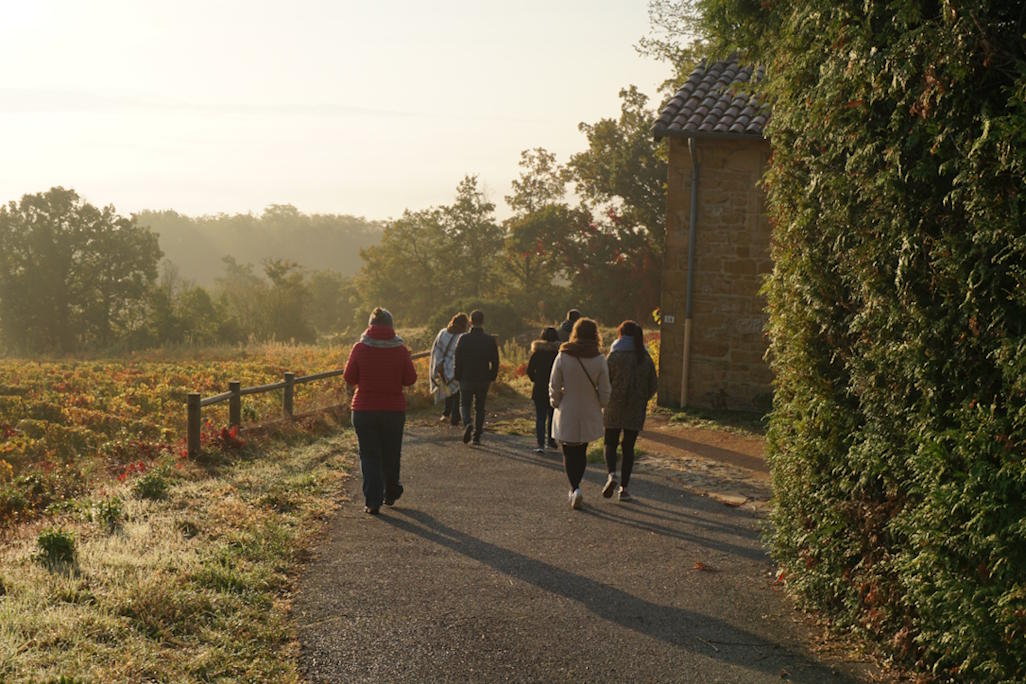 Activité détente balade dans les vignes